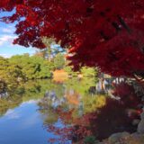 【岩手】秋を感じる風景　おすすめ紅葉狩りスポット　盛岡市中央公民館