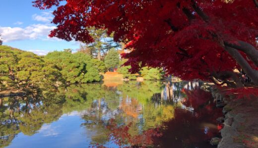 【岩手】秋を感じる風景　おすすめ紅葉狩りスポット　盛岡市中央公民館